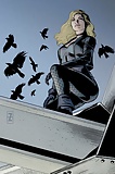 DC Cuties - Black Canary (Dinah Laurel Lance) 12