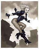 DC Cuties - Black Canary (Dinah Laurel Lance) 17