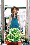 They Grow these down the Farm  2